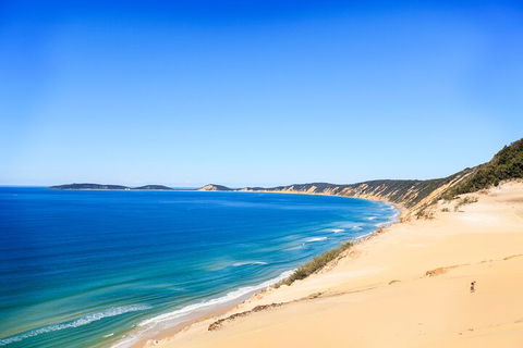 Kayak With Dolphins And 4WD Great Beach Drive Day Trip From Noosa - Yarra Valley Accommodation 0
