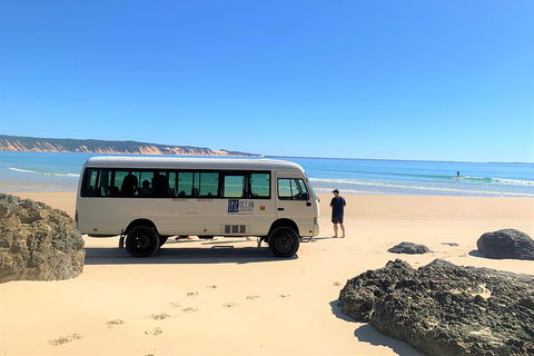 Kayak With Dolphins And 4WD Great Beach Drive Day Trip From Noosa - Yarra Valley Accommodation 4