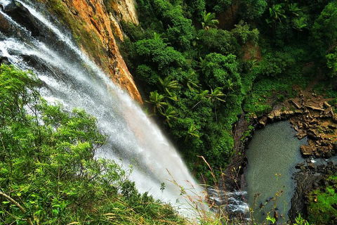 Rainforest & Waterfalls Extravaganza - Yarra Valley Accommodation 1