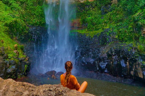 Rainforest & Waterfalls Extravaganza - Yarra Valley Accommodation 2