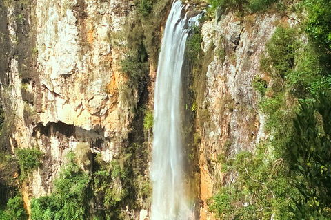 Rainforest & Waterfalls Extravaganza - Yarra Valley Accommodation 3
