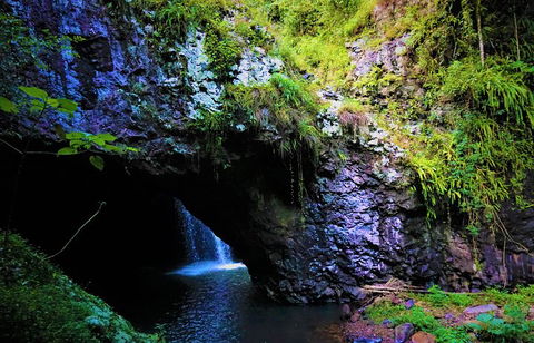 Rainforest & Waterfalls Extravaganza - Yarra Valley Accommodation 5