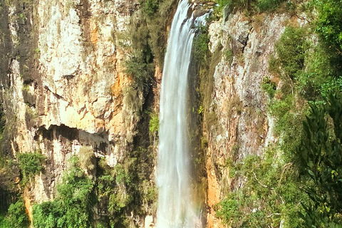 Natural Arch, Rainforest & Volcano Canyon - Private Half Day Tour - Yarra Valley Accommodation 2
