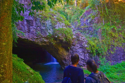 Natural Arch, Rainforest & Volcano Canyon - Private Half Day Tour - Yarra Valley Accommodation 4