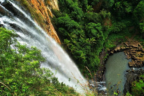 Natural Arch, Rainforest & Volcano Canyon - Private Half Day Tour - Yarra Valley Accommodation 5