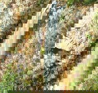 Private Tour - Rainforest  Waterfalls Extravaganza - Yarra Valley Accommodation