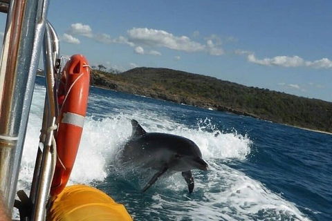 Noosa Oceanrider - Adventure Tour - Yarra Valley Accommodation 1