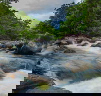Cape Tribulation Day Tour - Yarra Valley Accommodation