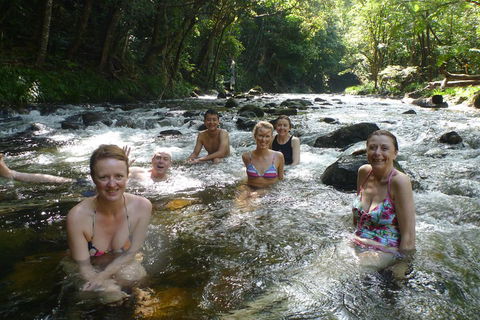 Daintree Rainforest, Cape Tribulation, Mossman Gorge Small-Group Day Tour - Yarra Valley Accommodation 0