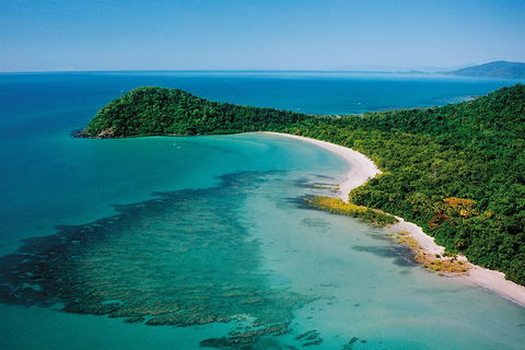 Daintree Rainforest, Cape Tribulation, Mossman Gorge Small-Group Day Tour - Yarra Valley Accommodation 4
