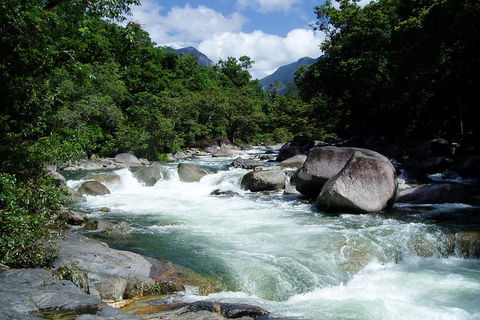Daintree Rainforest, Cape Tribulation, Mossman Gorge Small-Group Day Tour - Yarra Valley Accommodation 5