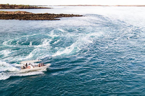 Giant Tides Tour - Cygnet Bay Pearl Farm - Yarra Valley Accommodation 4