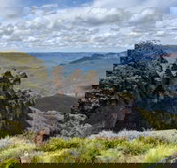 Blue Mountains Private Tour - wild kangaroos waterfalls and The Three Sisters - Yarra Valley Accommodation