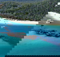 All Inclusive Tangalooma Wrecks Cruise Tour From Gold Coast - Yarra Valley Accommodation
