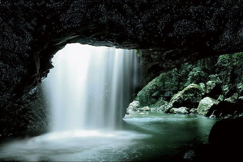Natural Bridge Glow Worm Night Tour From Gold Coast - Yarra Valley Accommodation 0