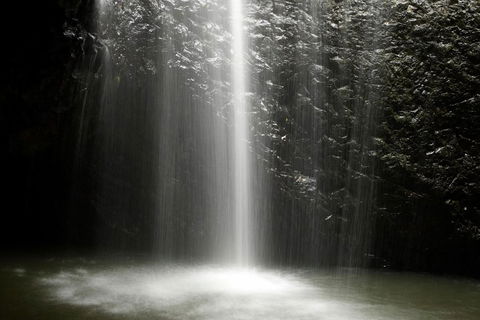 Natural Bridge Glow Worm Night Tour From Gold Coast - Yarra Valley Accommodation 2