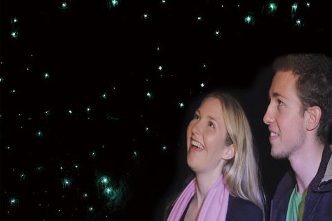 Natural Bridge Glow Worm Night Tour From Gold Coast - Yarra Valley Accommodation 3