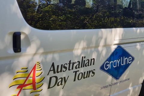 Natural Bridge Glow Worm Night Tour From Gold Coast - Yarra Valley Accommodation 5