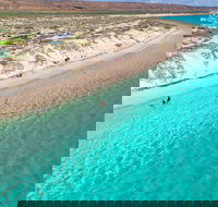Ningaloo in a Day - Full Day Hike and Snorkel Tour with Lunch - Yarra Valley Accommodation