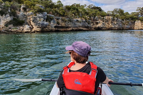 Cliffs And Caves Kayak Tour In Swan River - Yarra Valley Accommodation 0