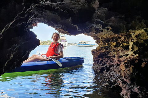 Cliffs And Caves Kayak Tour In Swan River - Yarra Valley Accommodation 1