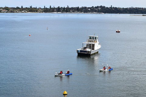 Cliffs And Caves Kayak Tour In Swan River - Yarra Valley Accommodation 2