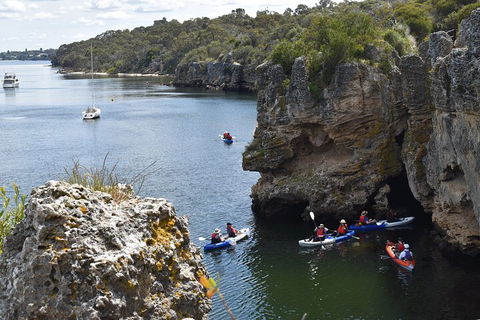 Cliffs And Caves Kayak Tour In Swan River - Yarra Valley Accommodation 5