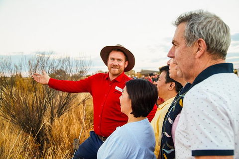Uluru (Ayers Rock) Sunset With Outback Barbecue Dinner And Star Tour - Yarra Valley Accommodation 3