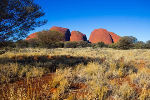 Kata Tjuta Sunrise And Valley Of The Winds Half-Day Trip - Yarra Valley Accommodation 1