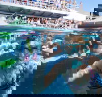 Great Barrier Reef Day Cruise from Cairns Including Snorkeling and Marine Biologist Presentation - Yarra Valley Accommodation