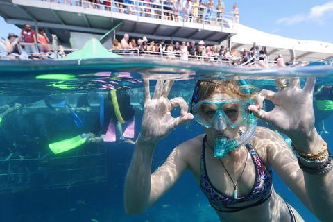 Great Barrier Reef Day Cruise From Cairns Including Snorkeling And Marine Biologist Presentation - Yarra Valley Accommodation 0