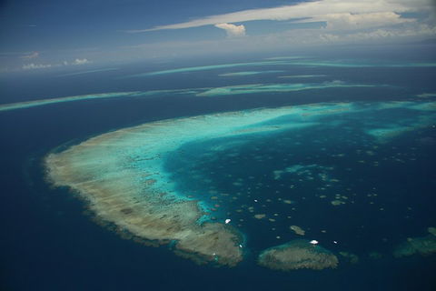 Great Barrier Reef Day Cruise From Cairns Including Snorkeling And Marine Biologist Presentation - Yarra Valley Accommodation 1