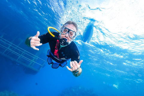 Great Barrier Reef Day Cruise From Cairns Including Snorkeling And Marine Biologist Presentation - Yarra Valley Accommodation 3