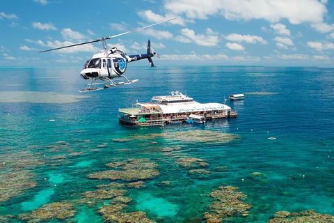 Great Barrier Reef Day Cruise From Cairns Including Snorkeling And Marine Biologist Presentation - Yarra Valley Accommodation 5