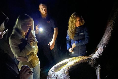 Evening Rainforest & Glow Worm Experience - Yarra Valley Accommodation 2