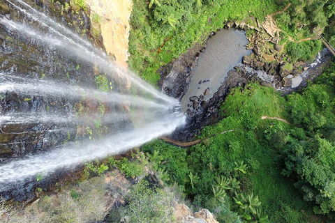Natural Bridge & Springbrook Waterfalls Tour + Hot Air Balloon With Breakfast - Yarra Valley Accommodation 1
