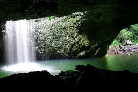 Natural Bridge & Springbrook Waterfalls Tour + Hot Air Balloon With Breakfast - Yarra Valley Accommodation 2