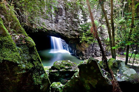 Natural Bridge & Springbrook Waterfalls Tour + Hot Air Balloon With Breakfast - Yarra Valley Accommodation 4