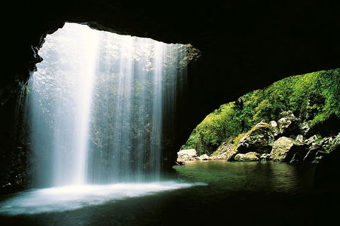 Natural Bridge & Springbrook Waterfalls Tour - Yarra Valley Accommodation 0