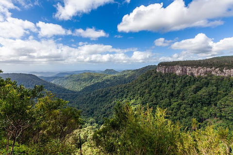 Natural Bridge & Springbrook Waterfalls Tour - Yarra Valley Accommodation 1