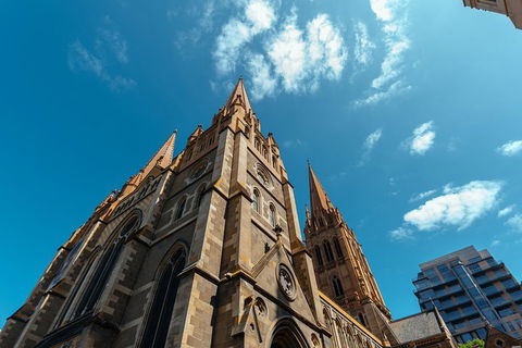 Highlights & Hidden Gems With Locals: Best Of Melbourne Private Tour - Yarra Valley Accommodation 4