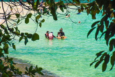 Green Island Day Trip From Cairns - Yarra Valley Accommodation 2