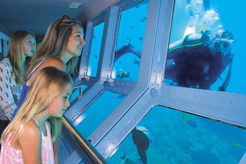 Quicksilver Outer Great Barrier Reef Snorkel Cruise From Port Douglas - Yarra Valley Accommodation 1