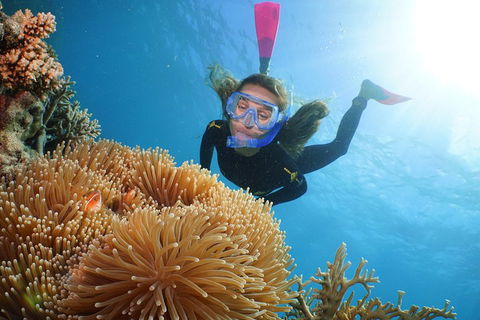 Quicksilver Outer Great Barrier Reef Snorkel Cruise From Port Douglas - Yarra Valley Accommodation 2