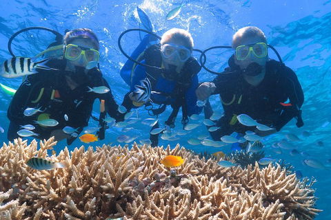 Quicksilver Outer Great Barrier Reef Snorkel Cruise From Port Douglas - Yarra Valley Accommodation 4