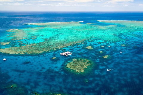 Quicksilver Outer Great Barrier Reef Snorkel Cruise From Port Douglas - Yarra Valley Accommodation 5