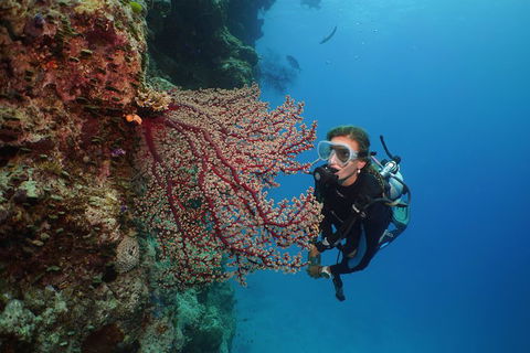 Silversonic Outer Great Barrier Reef Dive And Snorkel Cruise From Port Douglas - Yarra Valley Accommodation 0