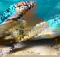 Sail Snorkel SUP  Kayak Charter Whitsundays - Yarra Valley Accommodation