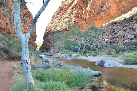 Alice Springs, Uluru Ayers Rock & Kings Canyon 8 Days Touring Package - Yarra Valley Accommodation 2