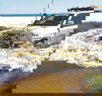 Full-Day Moreton Island 4x4 Sightseeing Tour - Yarra Valley Accommodation
